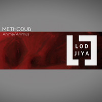 Methodub - Anima\animus