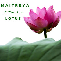 Maitreya - Lotus