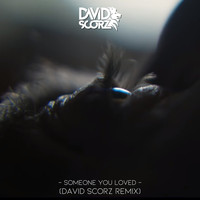 David Scorz - Someone You Loved (Remix)