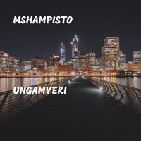 Mshampisto - Ungamyeki