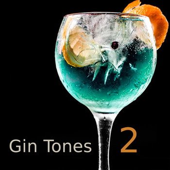 Various Artists - Gin Tones 2 (Explicit)