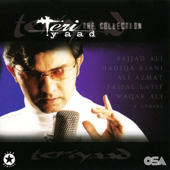 Various Artists - Teri Yaad (The Collection)