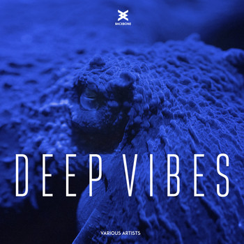 Various Artists - Deep Vibes