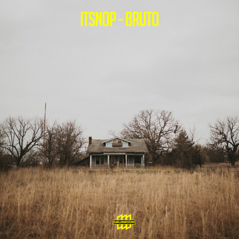 Itsnop - Bruto