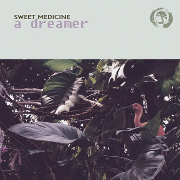 Sweet Medicine - A Dreamer