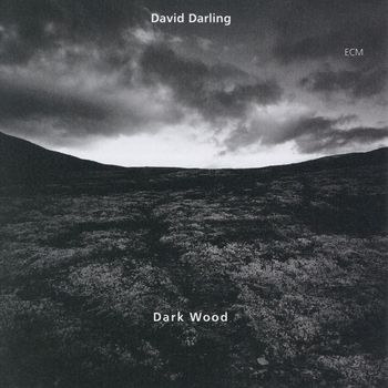 David Darling - Dark Wood