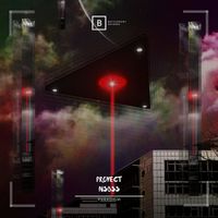Proyect NSBSS - Pxrxdigm