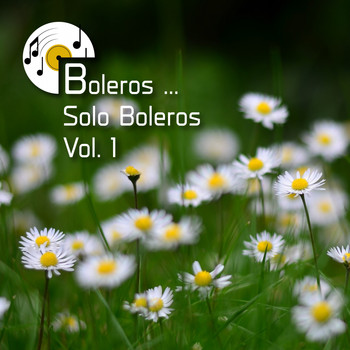 Various Artists - Boleros ... Solo Boleros, Vol. 1