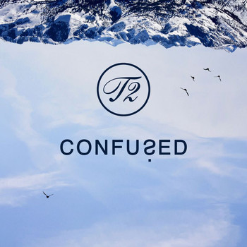 T2 - CONFUSED