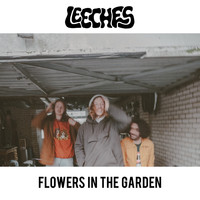 Leeches - Flowers In The Garden