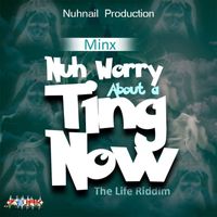 Minx - Nuh Worry