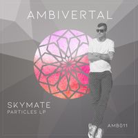 Skymate - Particles LP