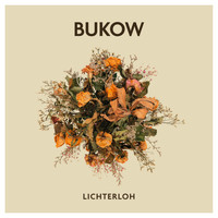 Bukow - Lichterloh