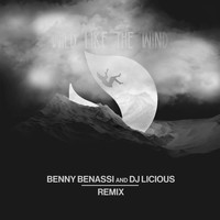 Deorro - Wild Like The Wind (Benny Benassi & DJ Licious Remix)