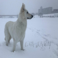 Damian Yarschk - Little White Wolf