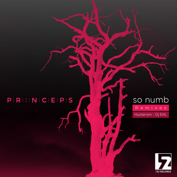 Prïnceps - So Numb Remixes