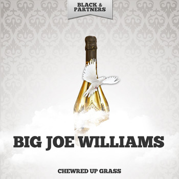 Big Joe Williams - Chewred Up Grass