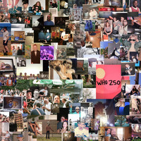 Vlush - Who 250