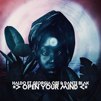 Haldo - Open Your Mind