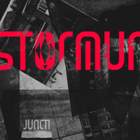 Juncti - Stormur