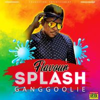 Ganggoolie - Flavour Splash