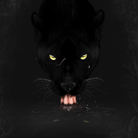 Terence - Bagheera (Explicit)