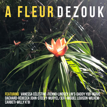 Various Artists - A fleur de zouk