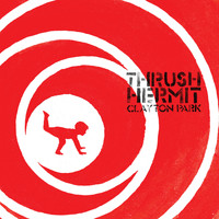 Thrush Hermit - Clayton Park