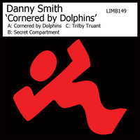 Danny Smith - Cornered By Dolphins