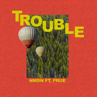 Nmdn - Trouble