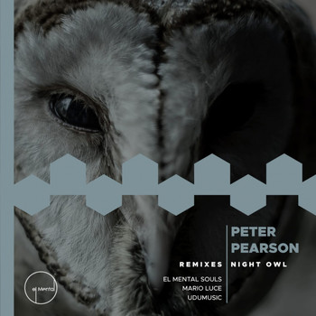 Peter Pearson - Night Owl EP