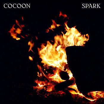 Cocoon - Spark