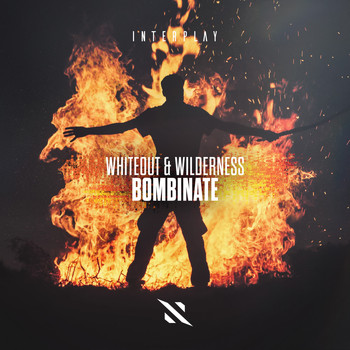 Whiteout & Wilderness - Bombinate