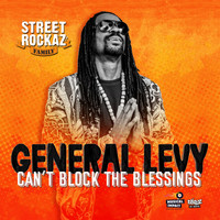 General Levy - Can't Block the Blessings