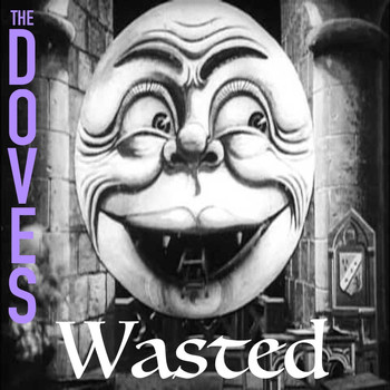 The Doves - Wasted