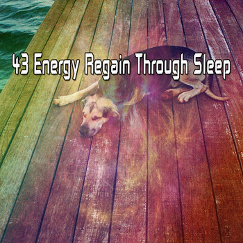 Sleep Baby Sleep - 43 Energy Regain Through Sleep