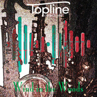 Dave Cooke & Mike Haughton - Topline Collections: Wind in the Woods