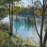 Dave Cooke - Topline Collections: Naturally