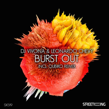 Dj Vivona & Leonardo Chevy - Burst Out