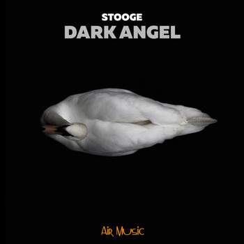 Stooge - Dark Angel