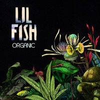 Lil Fish - Organic