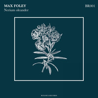 Max Foley - Nerium oleander