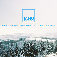 Tamu Massif - What Makes You Think You're The One