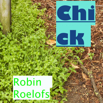 Robin Roelofs - Chick