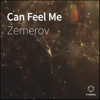 Zemerov - Can Feel Me