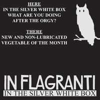 In Flagranti - In the Silver White Box EP