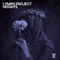 Lymph Project - Heights