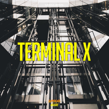 Various Artists - Terminal X