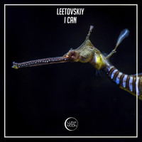 Leetovskiy - I Can