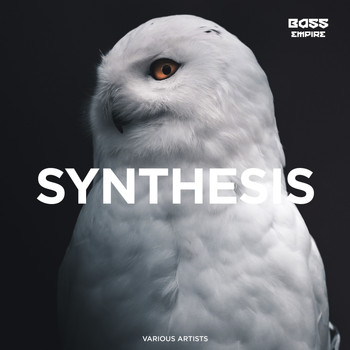 Various Artists - Synthesis